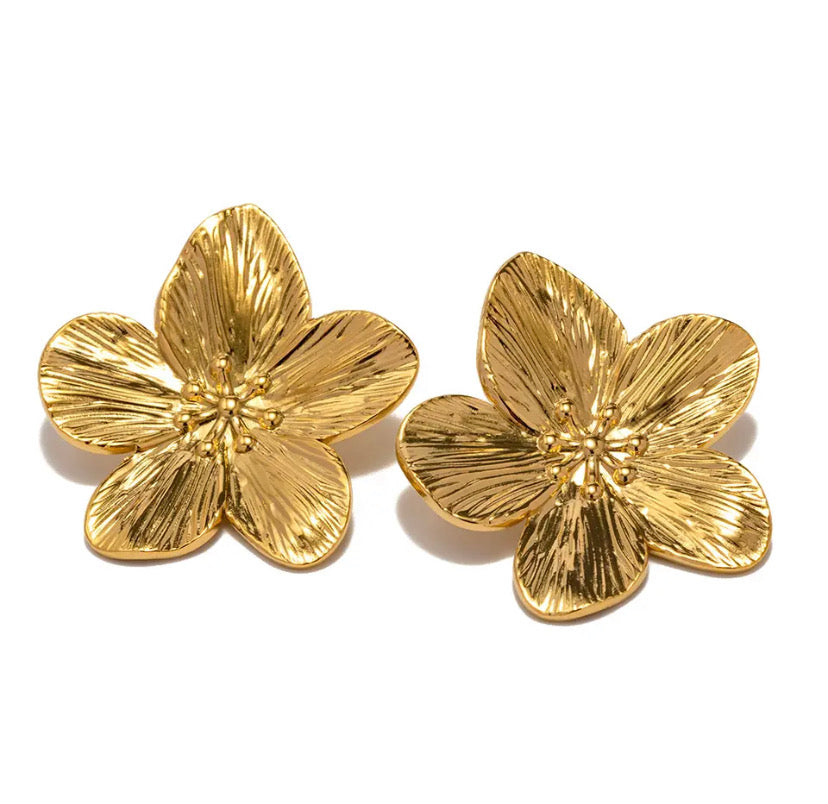 Aretes Alfonsina