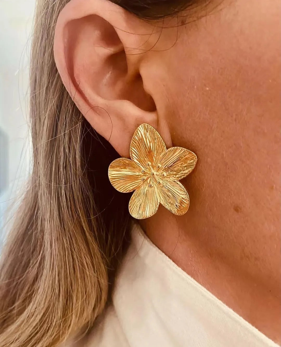 Aretes Alfonsina