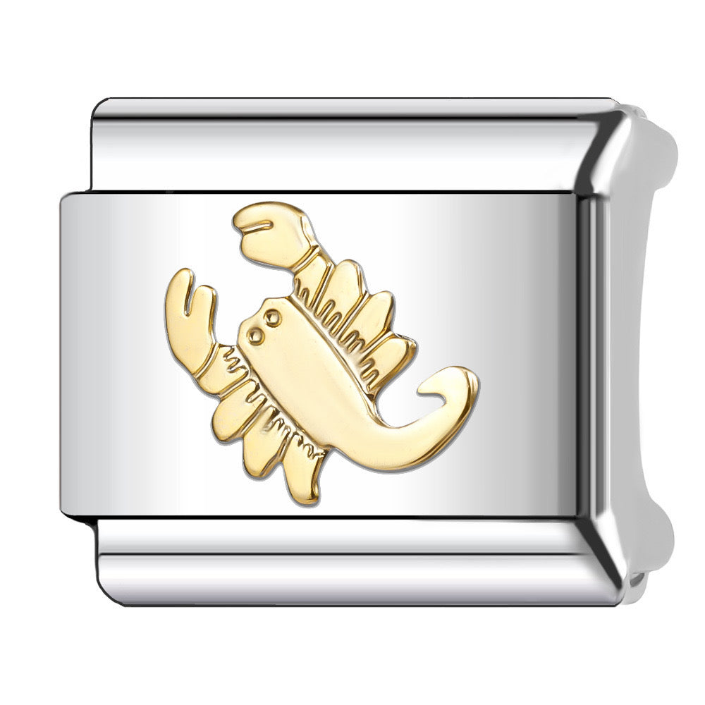 Charm Zodiaco