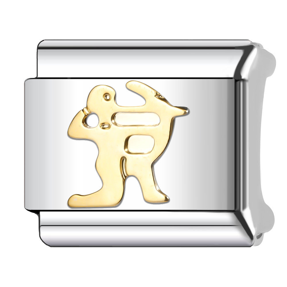 Charm Zodiaco