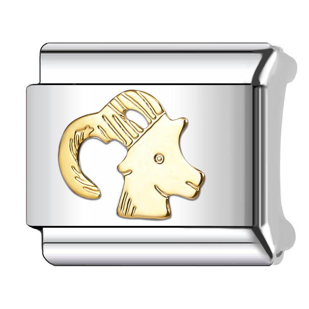 Charm Zodiaco