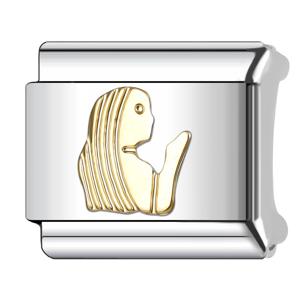Charm Zodiaco