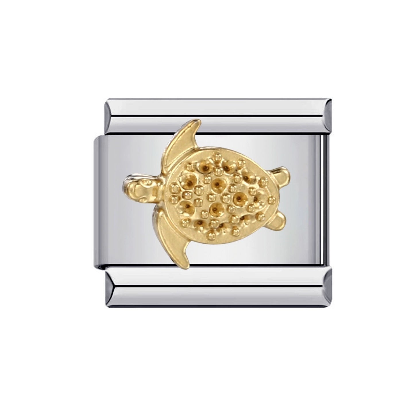 Charm Tortuga