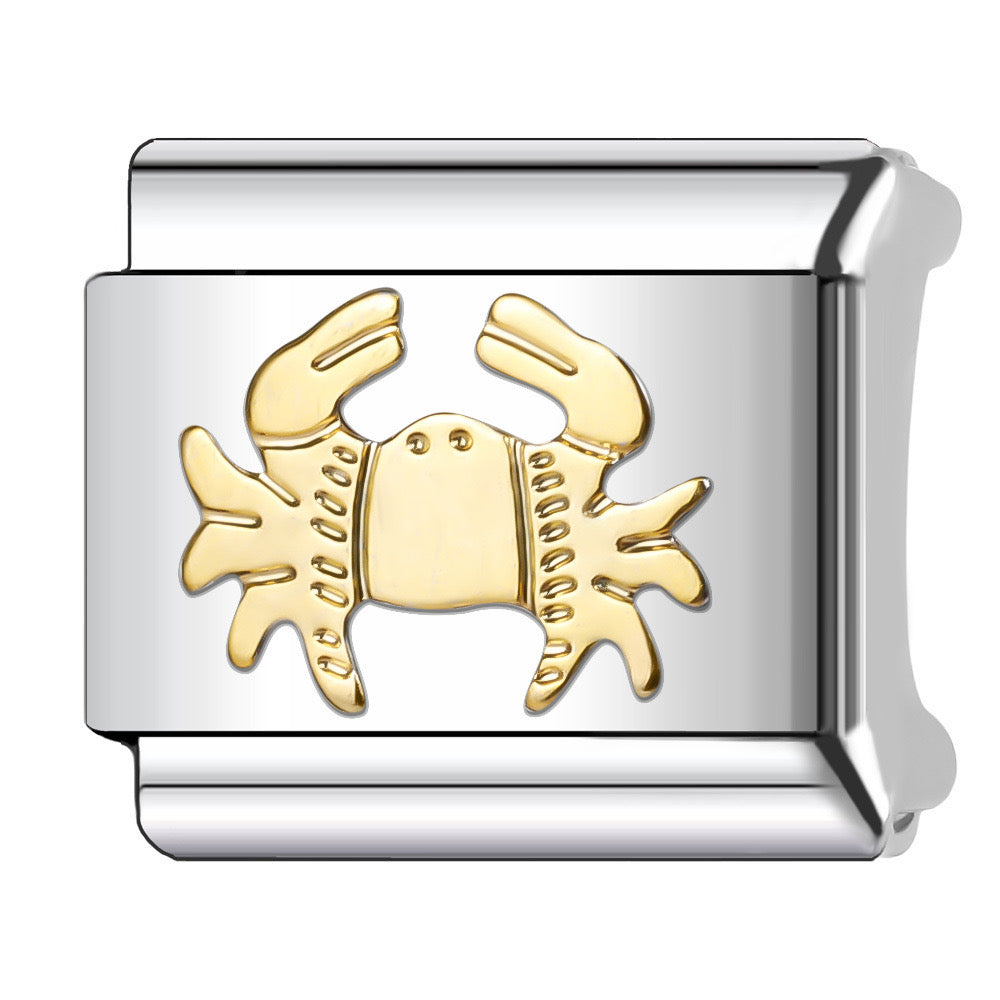 Charm Zodiaco